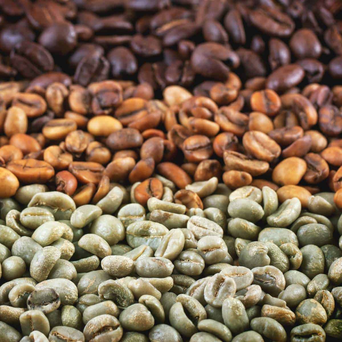 Arabica (Sidamo, Yirgacheffe, Harar)